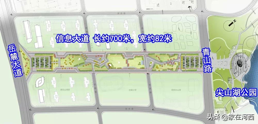 真香！尖山湖中轴国企大盘亮相，有复式，卖毛坯！目测要摇号？