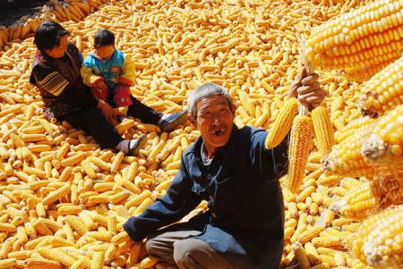 立秋的节气种庄稼好吗,今年立秋的农谚有哪些