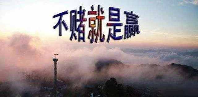 不赌为赢经历了什么,不赌为赢怎么去理解