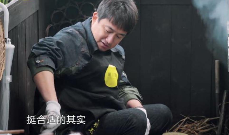 杨紫的历任男朋友都长啥样,杨紫个人资料简介及男友