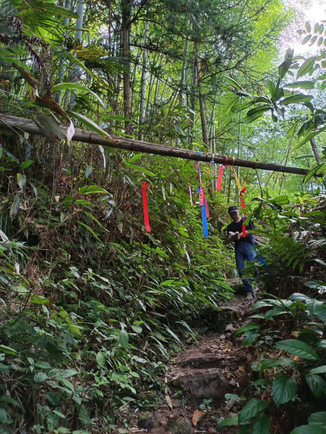 仙居公盂及周边游,仙居公盂徒步景点