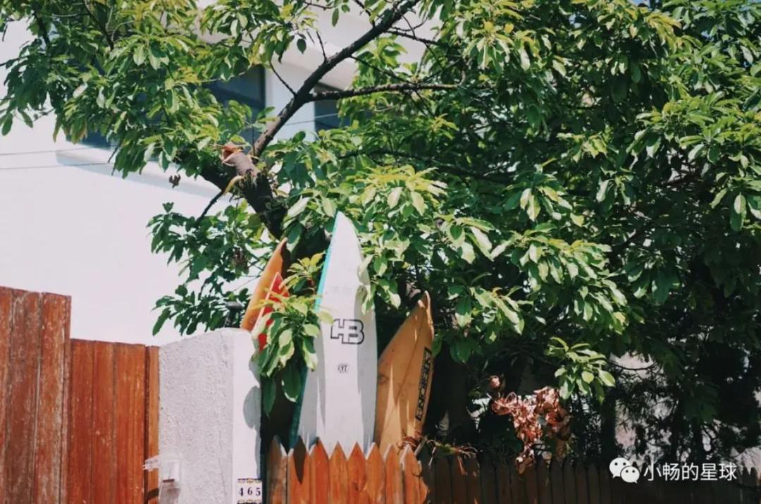 看完《喜宝》被气死，顶级富豪们最爱住的石澳道究竟是啥样？