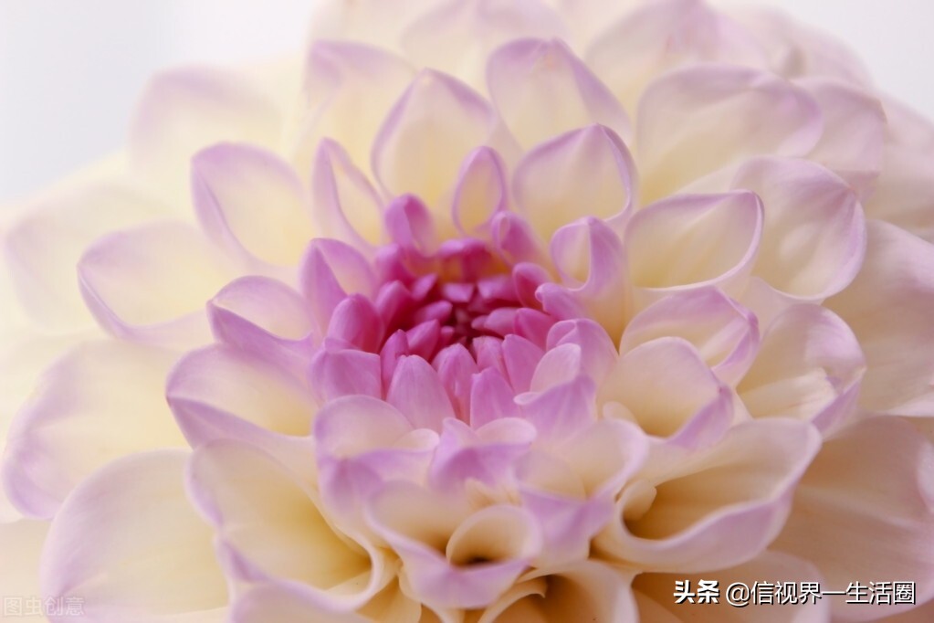 怎样配制花卉育苗用的营养土,果树花卉营养土的配制方法