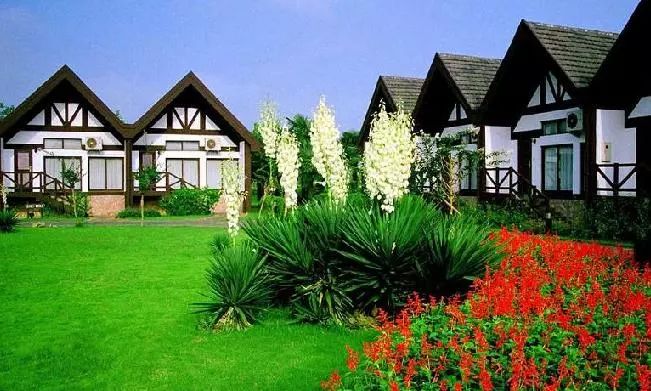 有了这份攻略,上海地铁直达景点