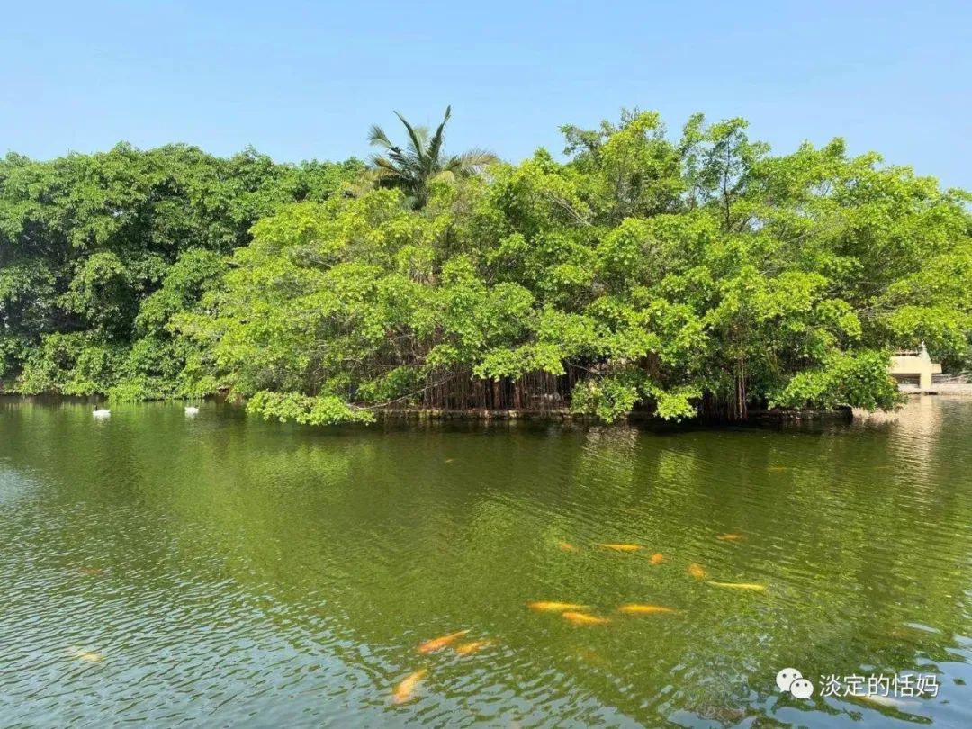 一边修脚一边讲故事,开口学古诗