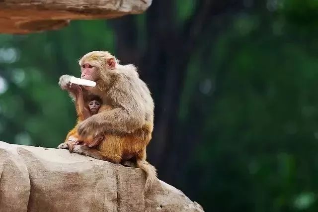 郑州未来发展趋势在哪个区,郑州2019年有啥规划没