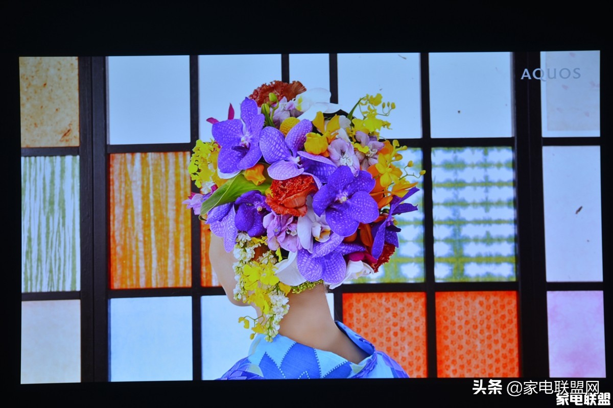 优派pled-w500投影机,优派dh10智能高清投影机