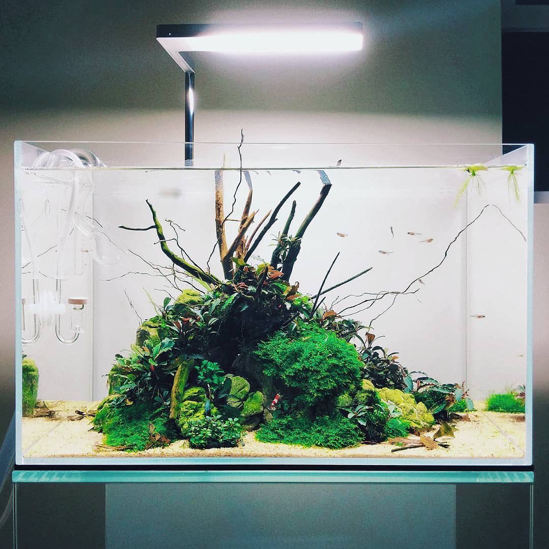 过滤的方法和注意事项,老生常谈的说说