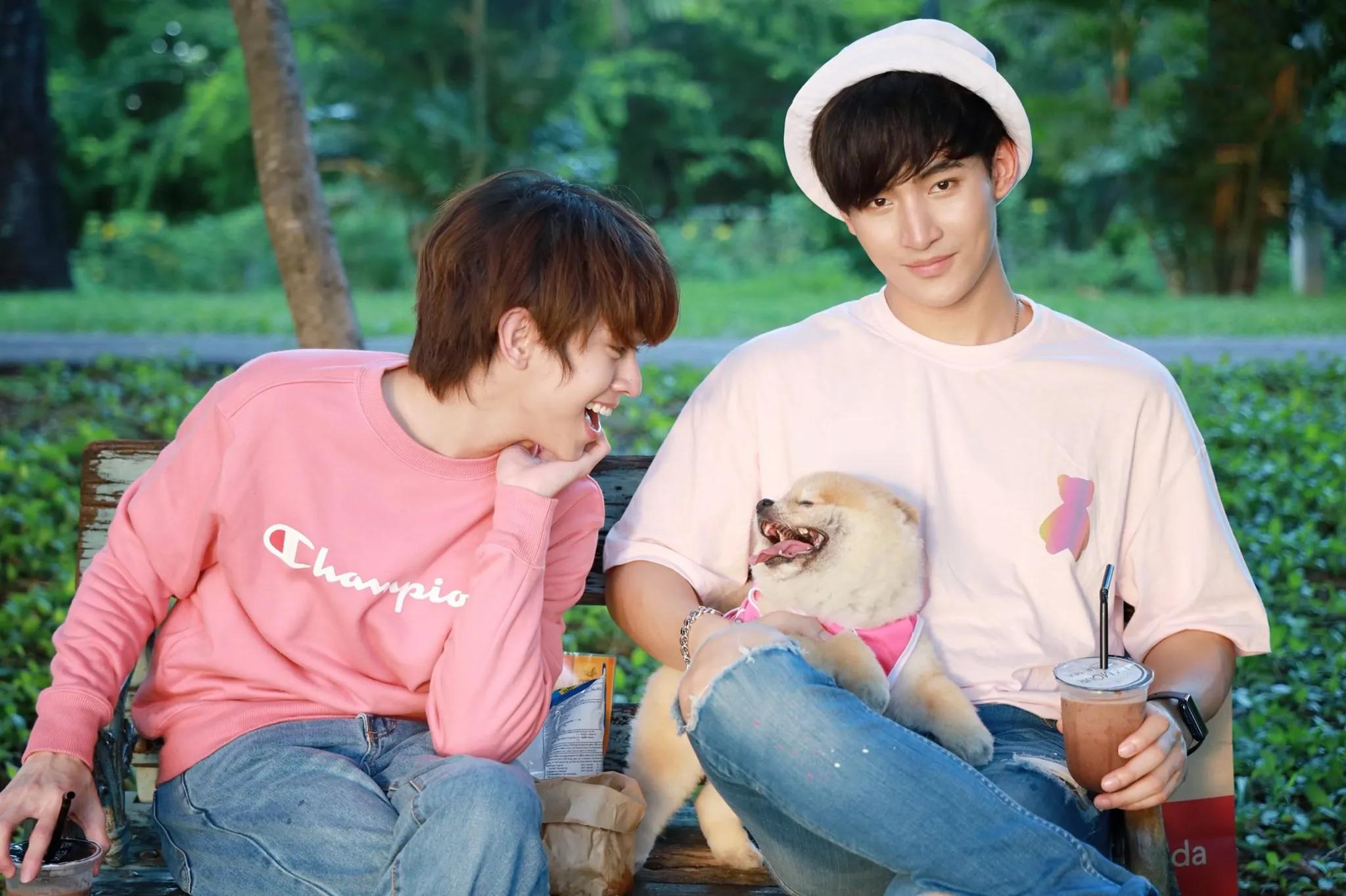 fluke福多多萌主密探,泰星fluke福多多所有作品