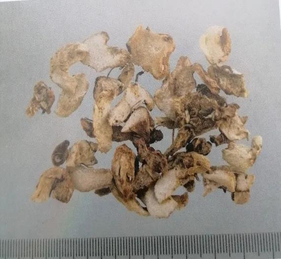 收敛止血的中成药有哪些,止血收敛的药有哪些