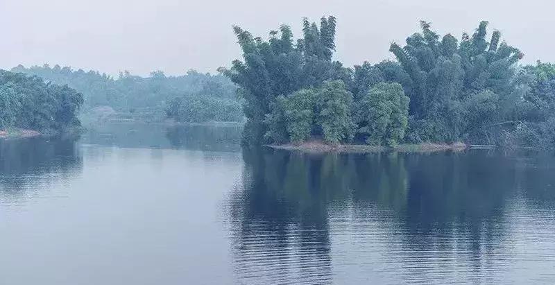 吃不起涪陵榨菜后续,吃不起榨菜完整版