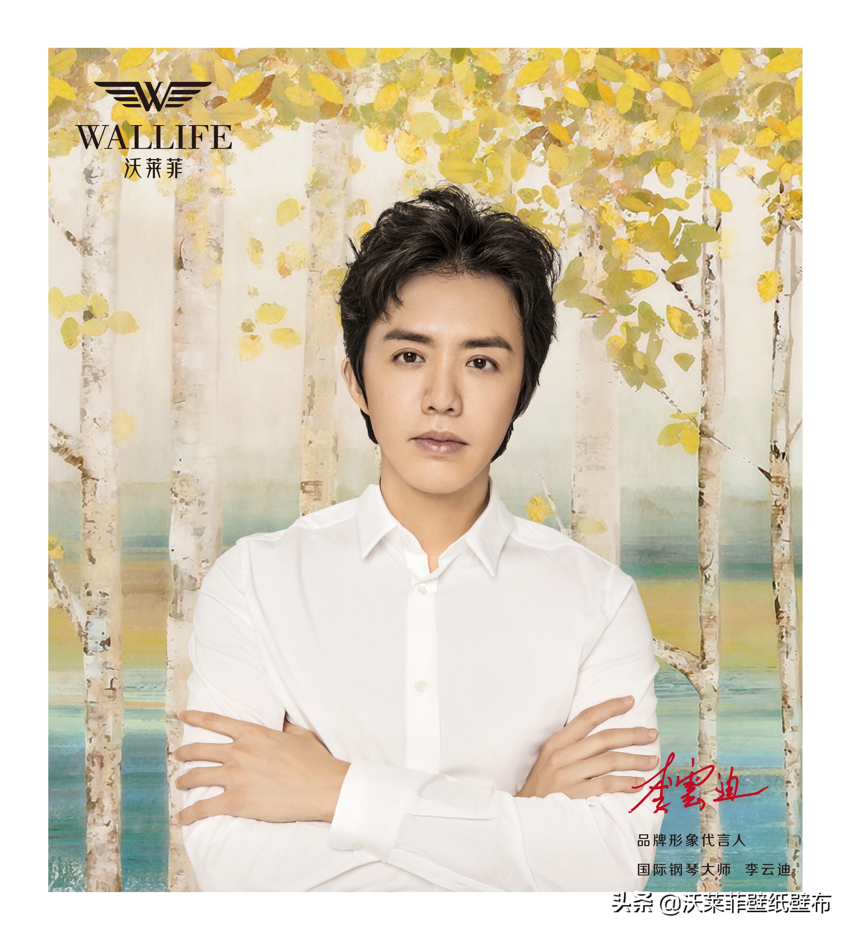 沃莱菲墙布代言人是谁,李云迪代言钢琴品牌是什么牌子的