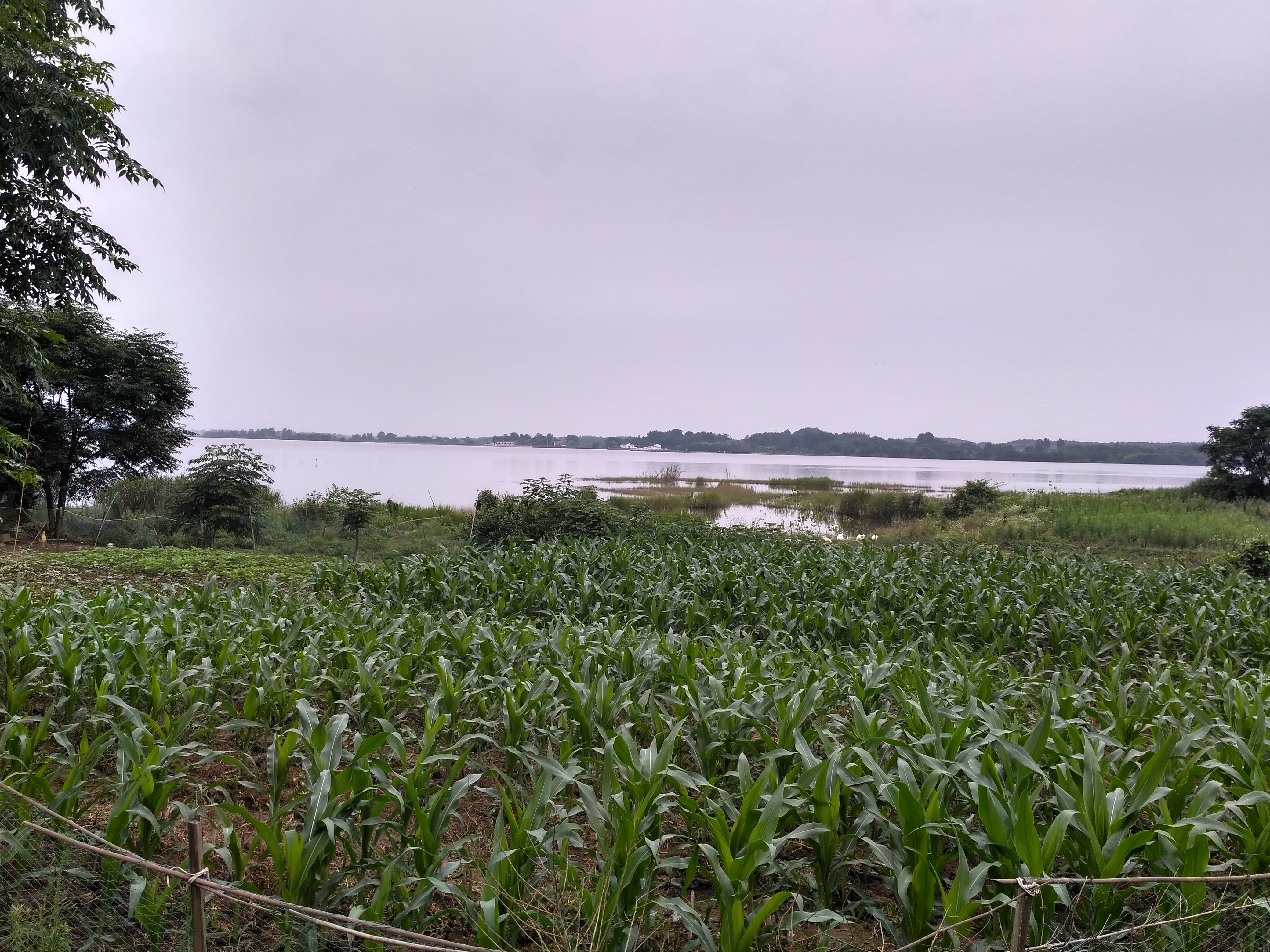 齐春生态园大概花多少钱,贵池齐春生态园