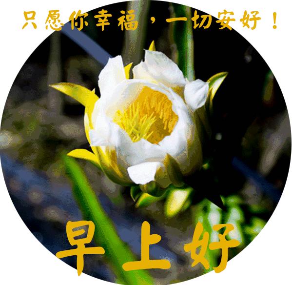 早上好祝福语会动的早上好图片,最新早上好问候祝福语图片图文