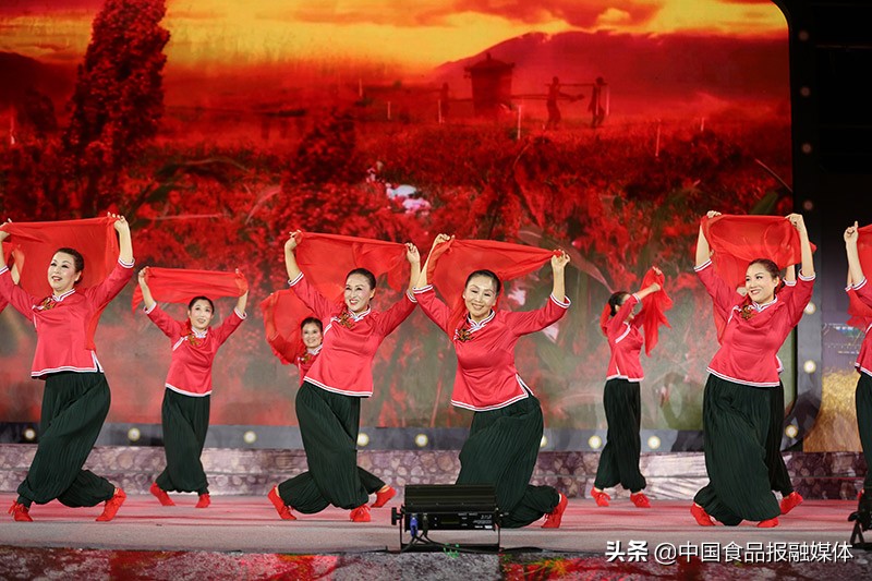 齐聚一堂共谋乡村振兴,乡村振兴共筑田园梦