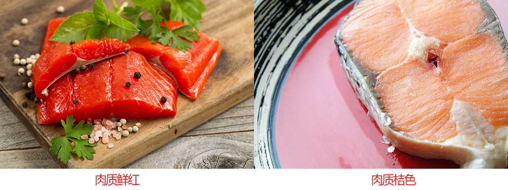 生吃三文鱼腥不腥,三文鱼怎样吃更好吃更简单