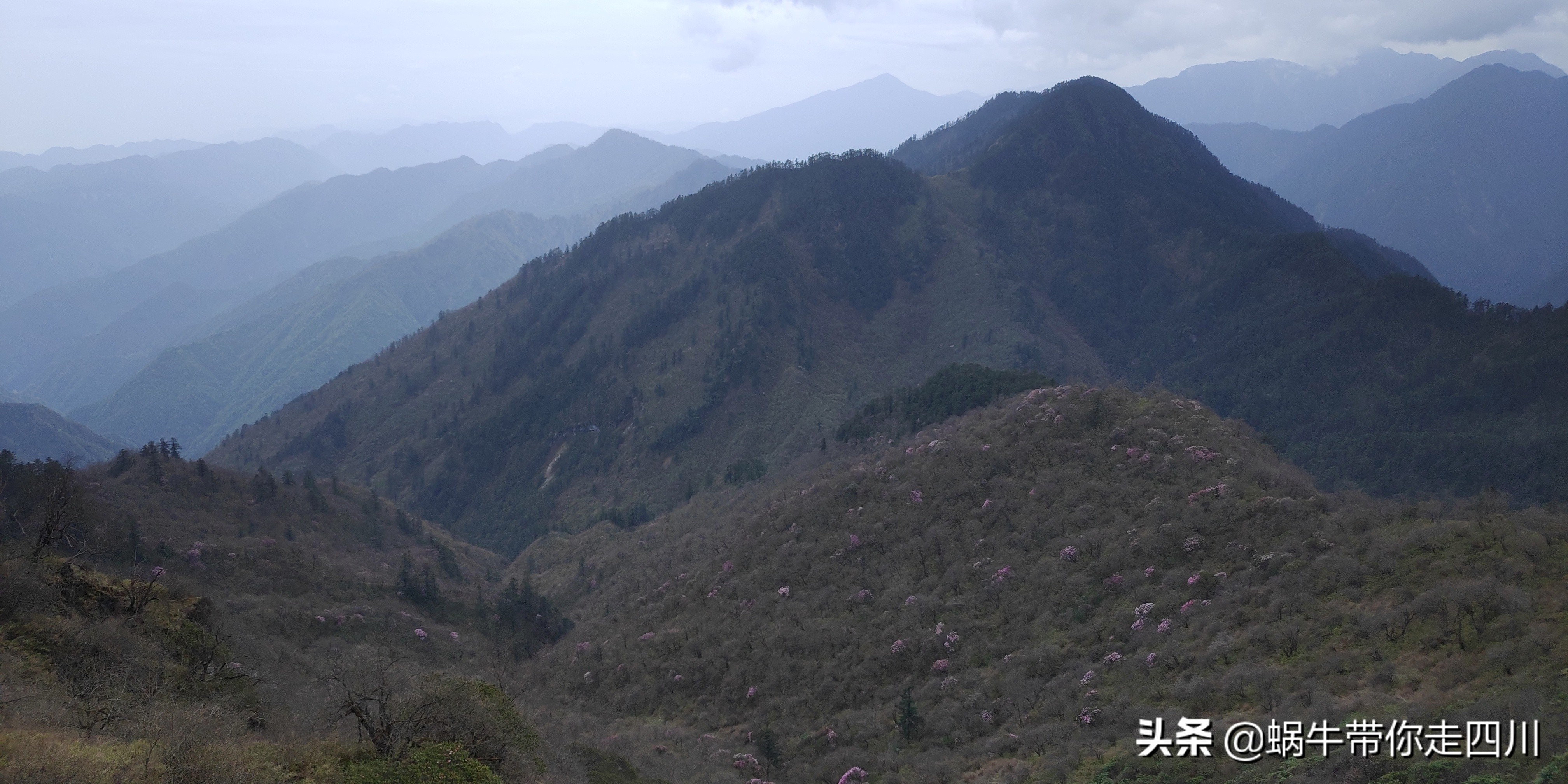 成都去西岭雪山两天一夜旅游团,成都出发雪山旅游
