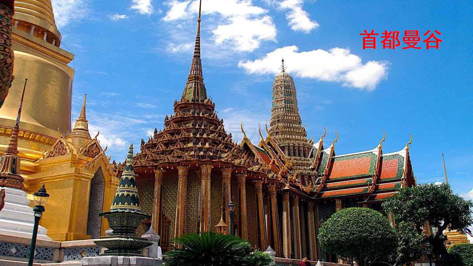 五年级下册与象共舞的作者是谁,与象共舞语文五年级下册老版