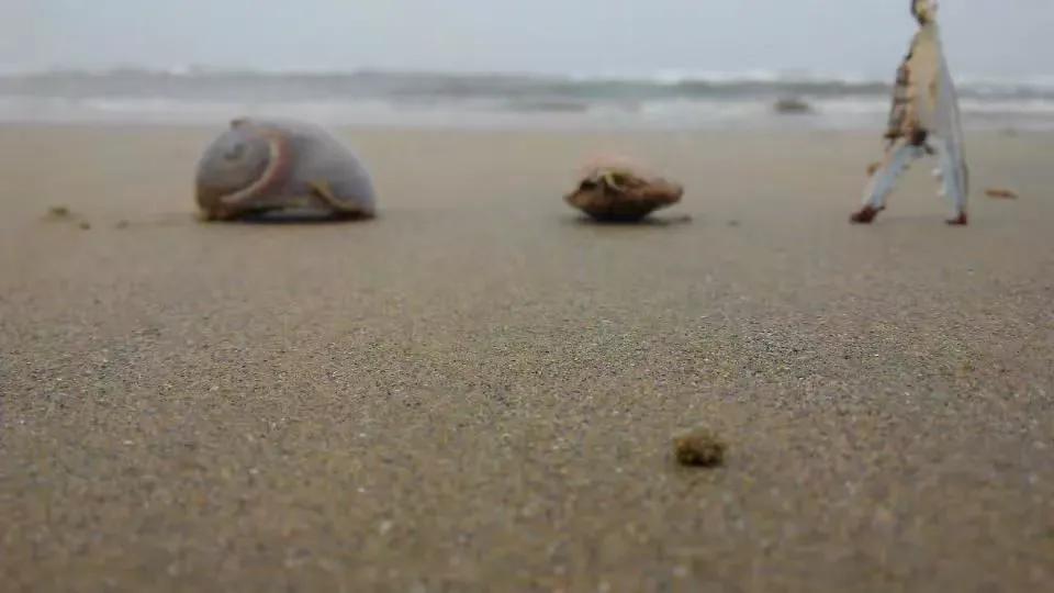 看正版杜梨儿的亲历，评价一下龙口海景房是鬼城还是天堂！