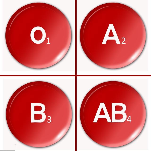 o型血的人能生出熊猫血的人吗,两个o型血生出熊猫血的概率