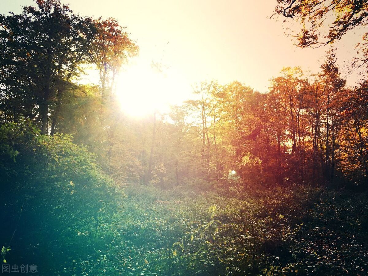 人社局劳动仲裁怎么处理,人社局劳动仲裁谁来监管