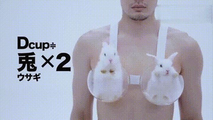 一个正经的问题,一个很正经的问题