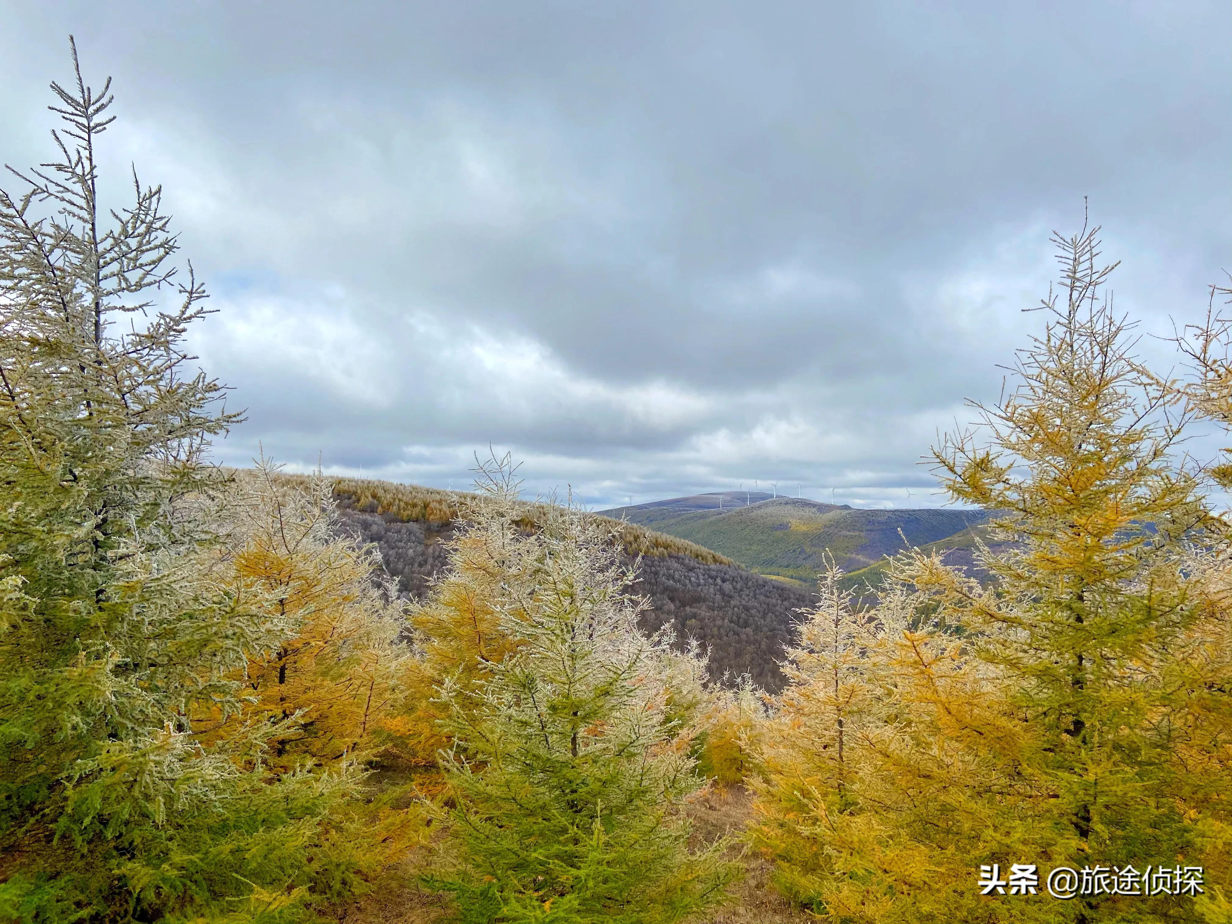 秋天北京周边值得去的地方,北京秋天最美的免费地方
