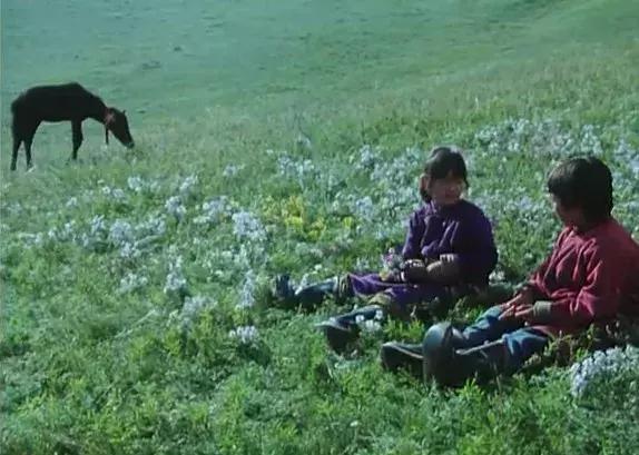 无马不自由！22部“有马”的电影，请盘住