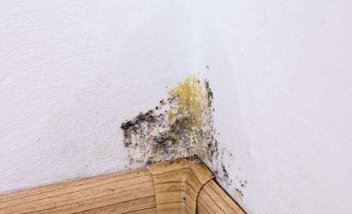 修复墙面返潮脱落发霉起皮,墙面返潮发霉长青苔两大原因