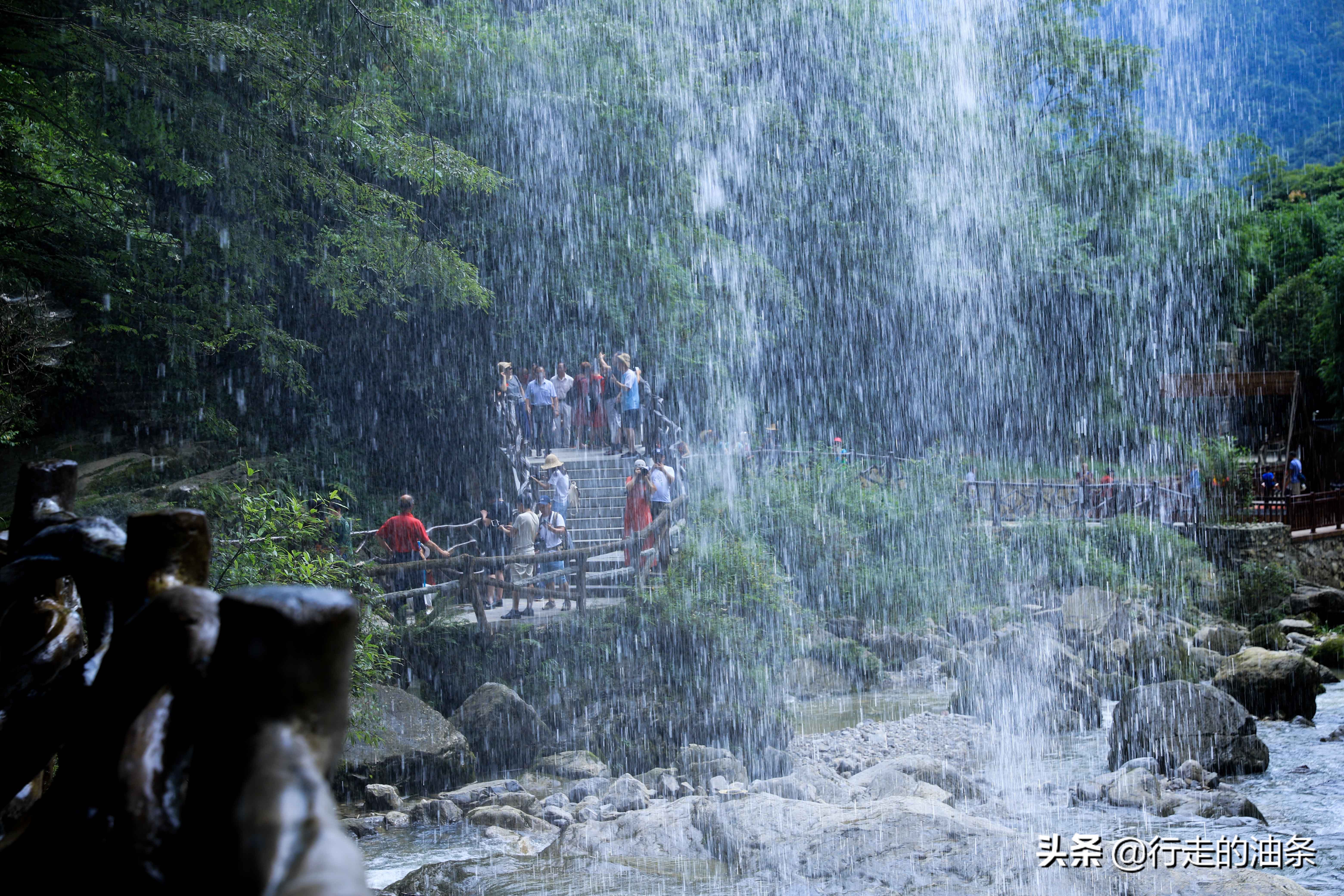 三峡竹海秭归,秭归三峡竹海