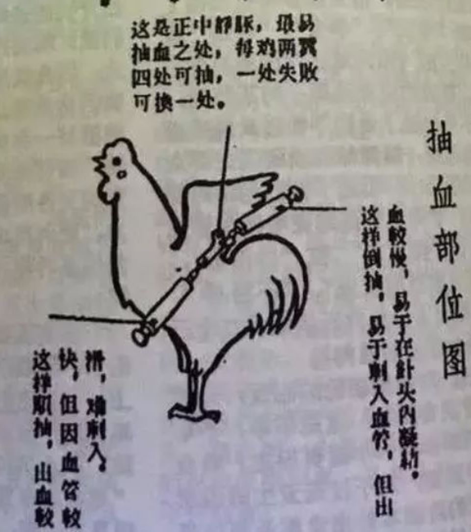 社会丨撞树、火烧、上吊…我国中老年硬核养生法，究竟有多野？