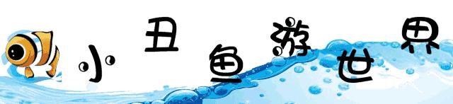 低糖好喝饱腹感超强的酸奶,爆款能嚼的酸奶