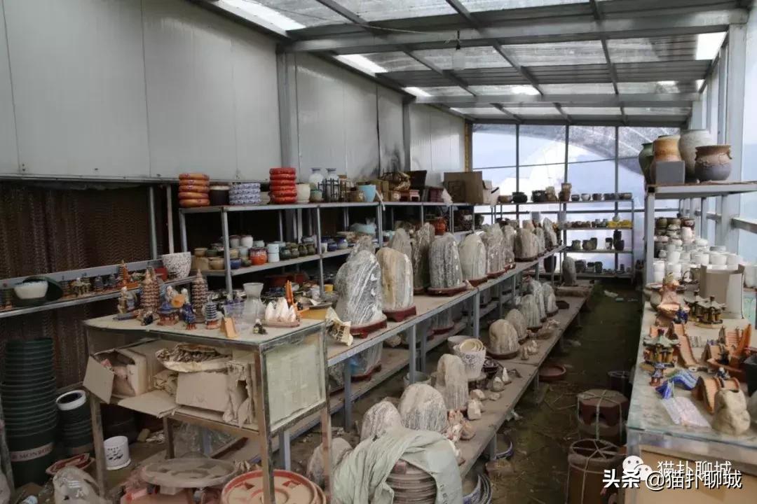 聊城北环花卉市场批发玫瑰鲜花吗,聊城最大的花卉市场