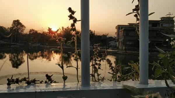 姝岃瘝鍗℃媺ok瀛楀箷瑙嗛鍒朵綔鏁欑▼,鎬庝箞鐢ㄥ壀鏄犲埗浣滃崱鎷塷k姝岃瘝