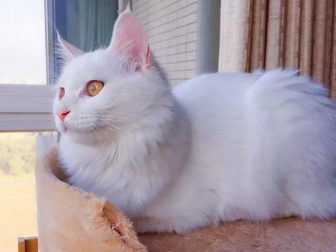 黄渤从草根变影帝,黄渤从无名歌手到70亿影帝