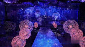 沉浸式主题酒店与传统酒店,亚特兰蒂斯酒店vs迪拜帆船酒店