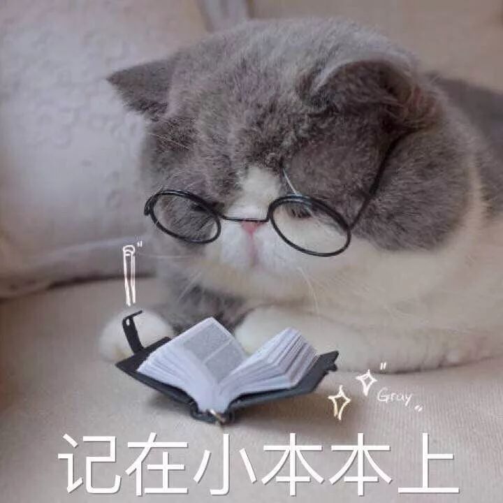 猫咪突然睡在猫砂盆里是什么情况,猫咪突然不在猫砂里尿了怎么回事