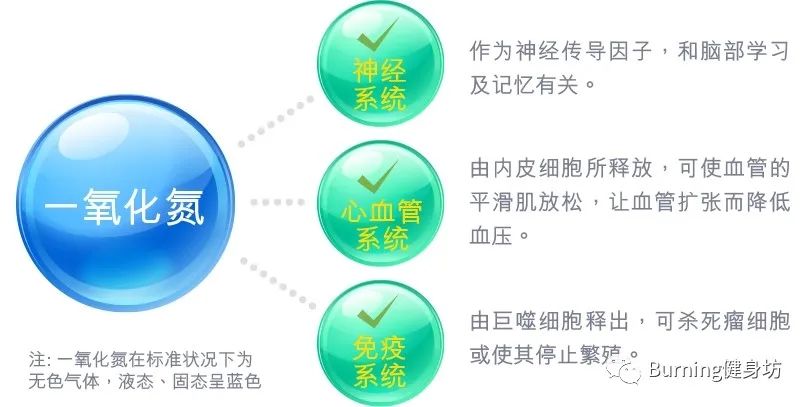 淇宸︽棆鑲夌⒈鑳跺泭鍑忚偉,宸︽棆鑲夌⒈鍑忚偉鑳跺泭鍔熸晥