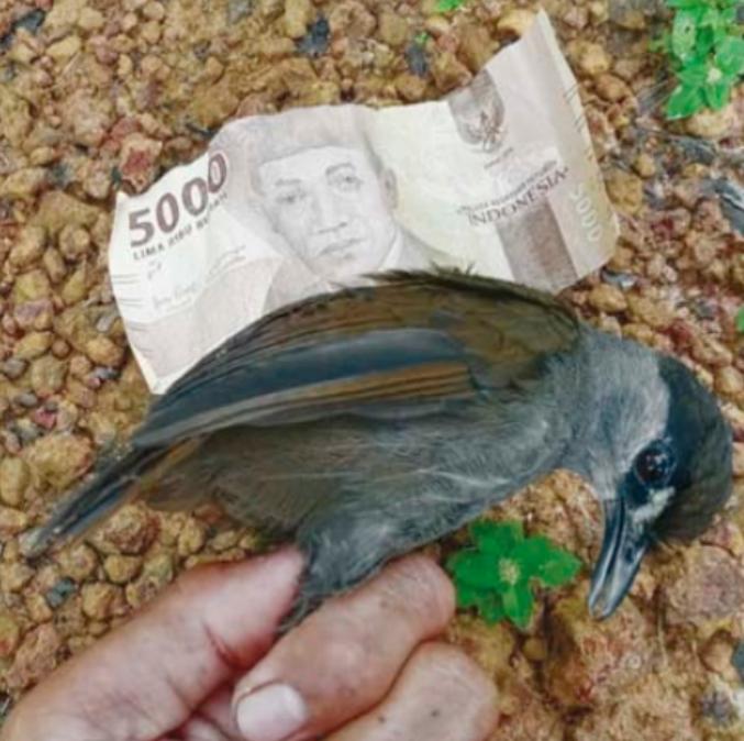 进化论错了,进化论图片被删了