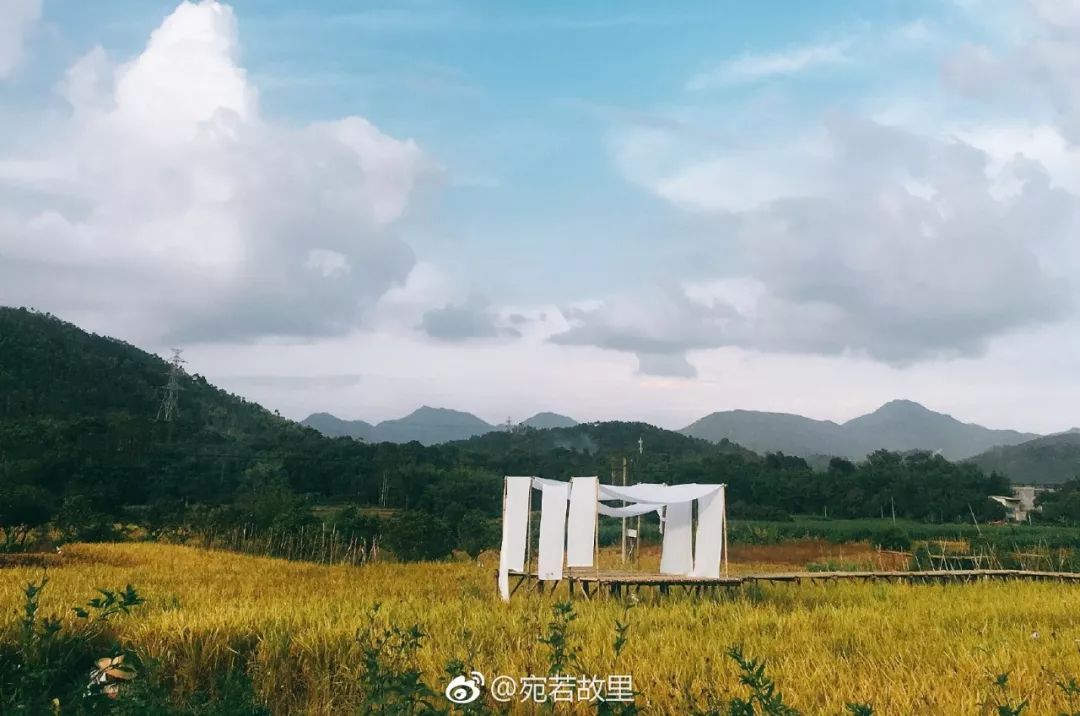 七个闺蜜造房养老,7个闺蜜一起改造农村小院