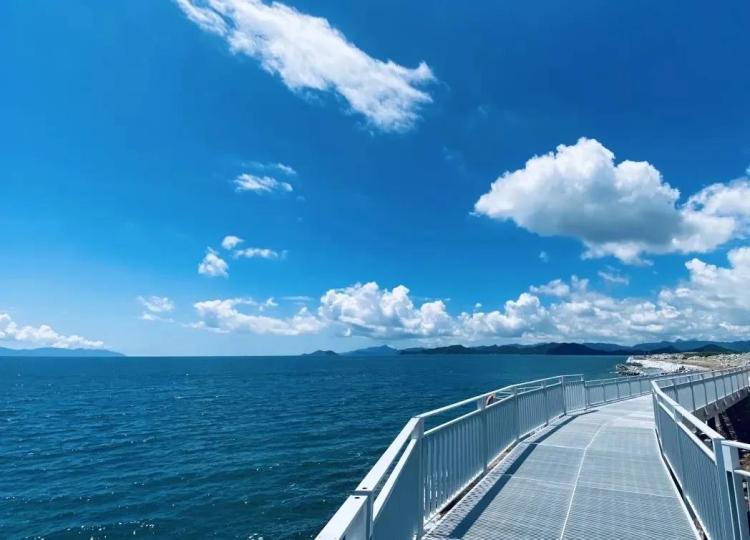 不离深,深圳高颜值绿道推荐一日游正好