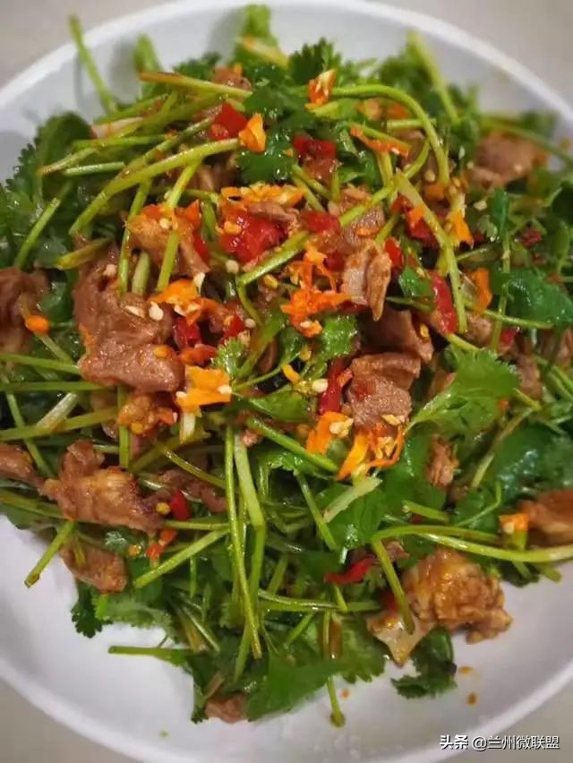 五一假日攻略西固,五一假日攻略兰州西固周边