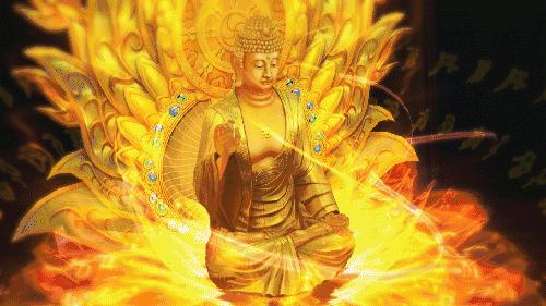 双手合十南无阿弥陀佛,双手合十朝拜南无阿弥陀佛