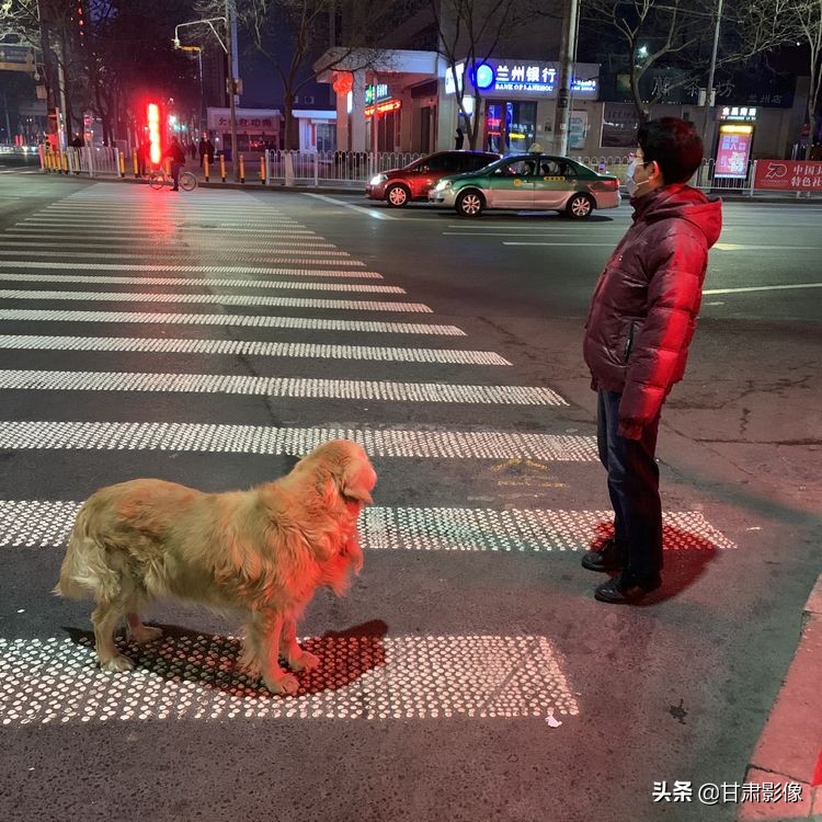 告别2021年的夏天手机摄影,简单手机摄影2020不平凡的一年