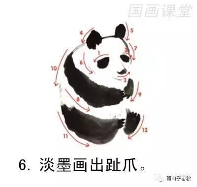 教你画大熊猫水彩画,黑色与白色的大熊猫怎么画才好看