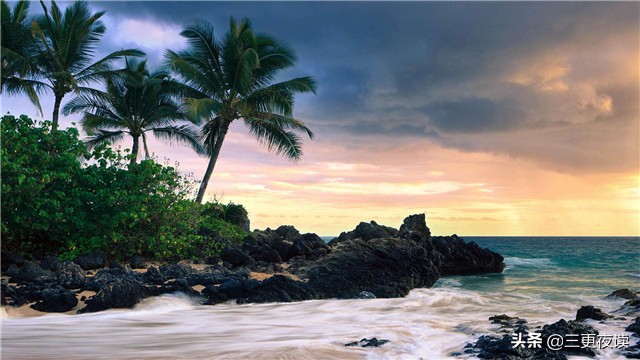 强势的人未必就有好结局,强势的人未必是强者全集