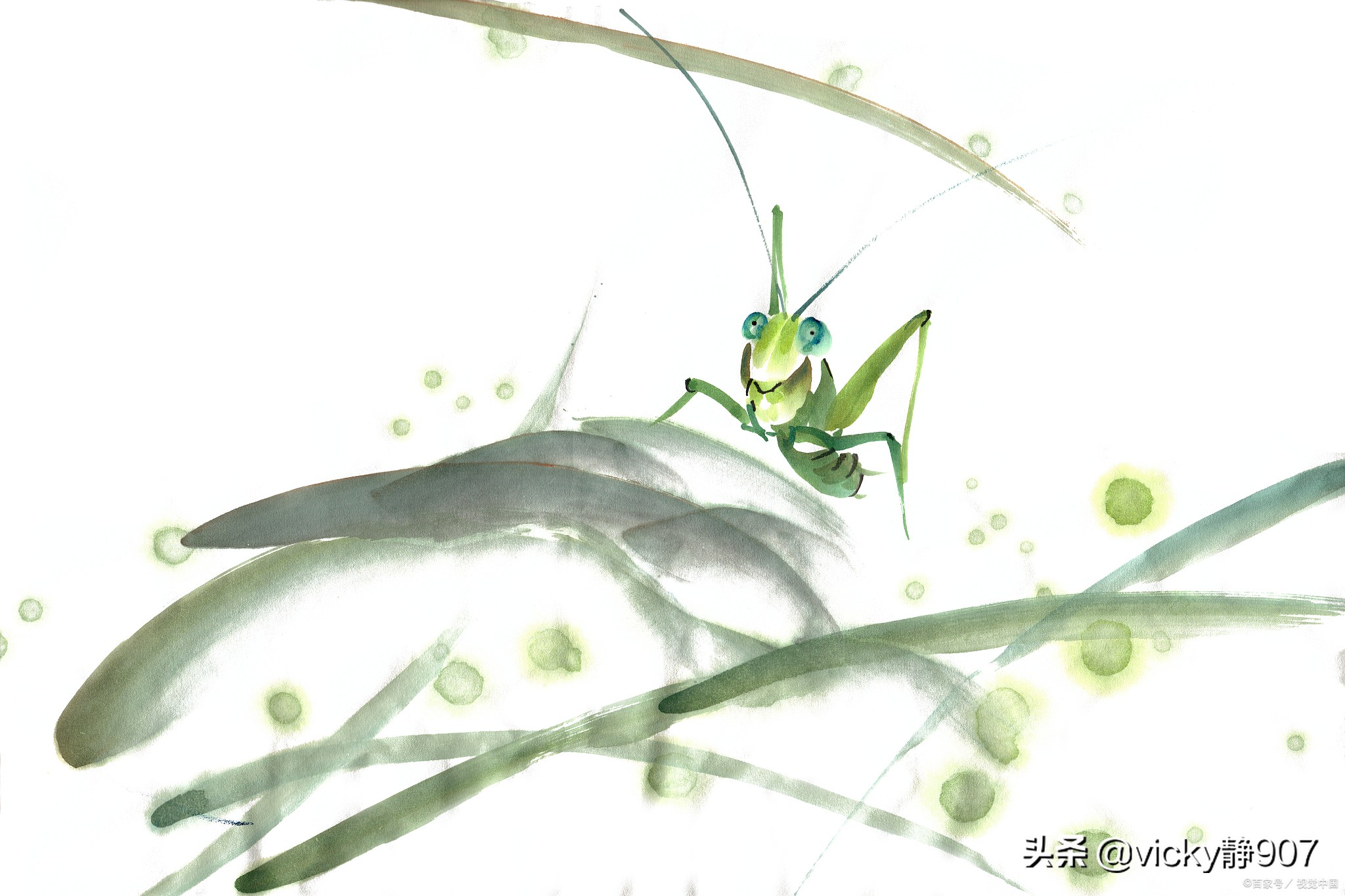 《小兵张嘎》、《绿山墙的安妮》读后感