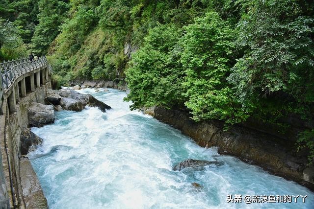 二郎山喇叭河看鹿,二郎山喇叭河看日出攻略
