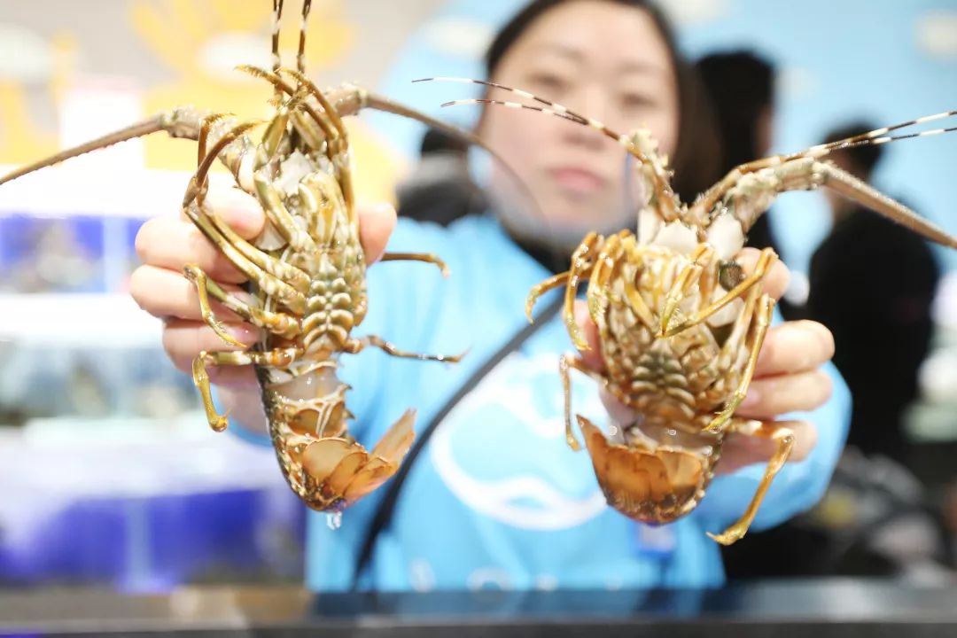 盒马第一家门店开业,盒马鲜生第一个店