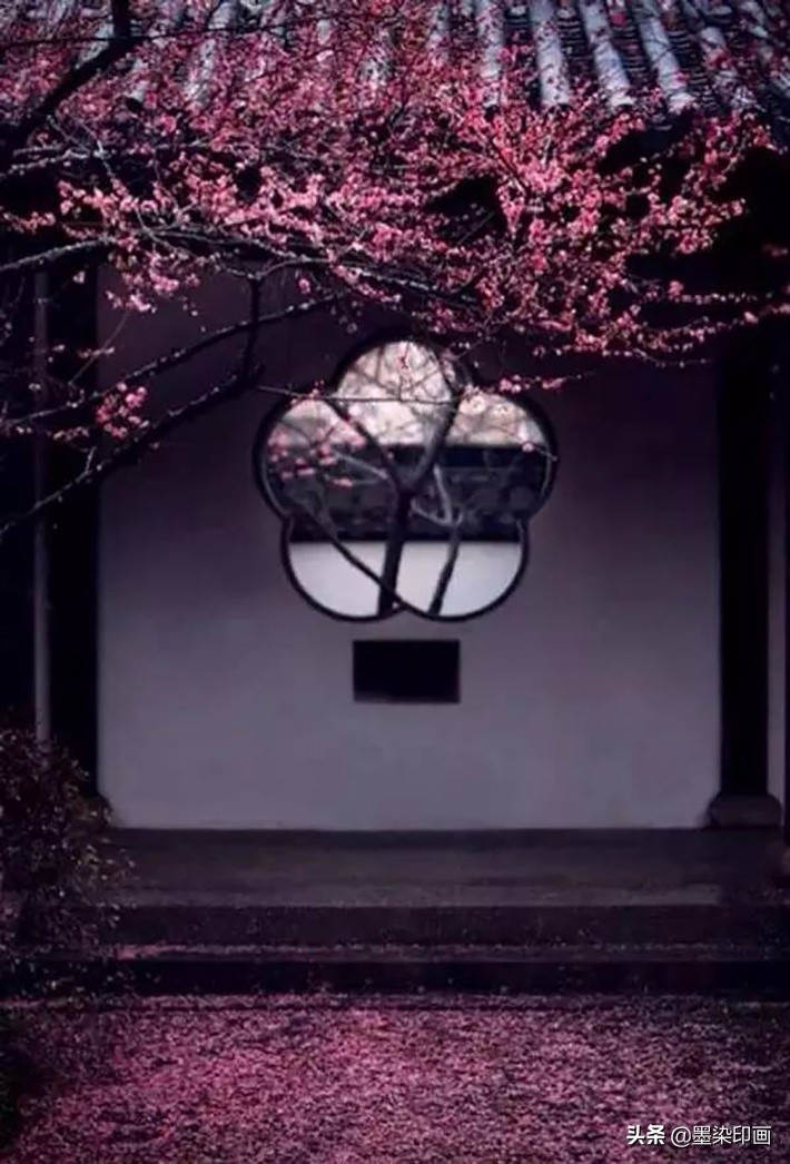 清明节拍摄风景图片,清明节全家踏青照片如何拍摄